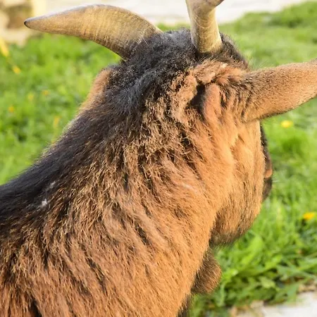 Chateau De Perpezat 3* Apchat