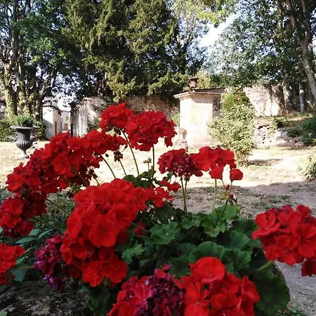 Chateau De Perpezat Nocleg ze śniadaniem