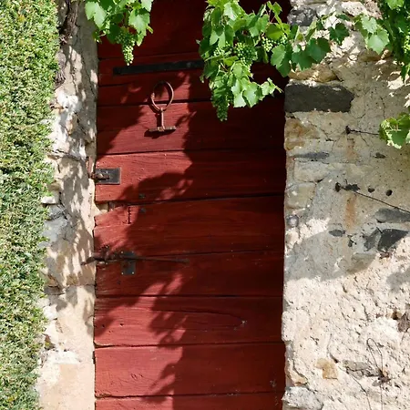 Chateau De Perpezat לינה וארוחת בוקר Apchat