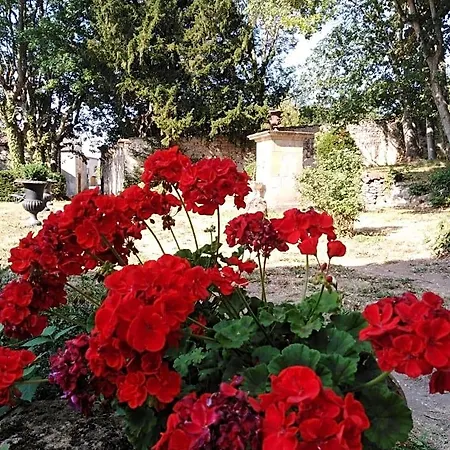 Chateau De Perpezat Nocleg ze śniadaniem