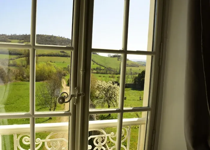 Chateau De Perpezat Bed & Breakfast Apchat