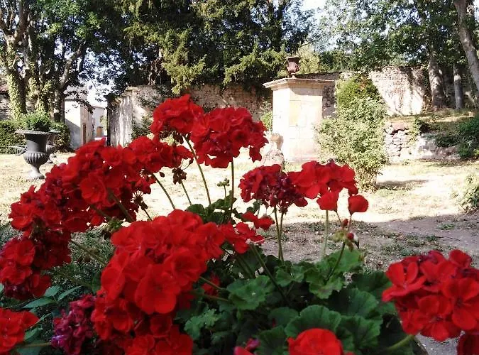 Chateau De Perpezat Bed & Breakfast